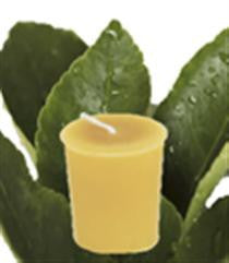 Honey Candles - Essential Votives Candles scented with essential oils Pack of 3 by Honey Candles - Ebambu.ca natural health product store - free shipping <59$