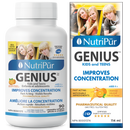 Nutripur GENIUS Kids & Teens - Attention Deficit Disorder/Hyperactivity (ADD/ADHD), school performance, concentration, memory, anxiety, insomnia, Difficulty with reading and writing. - Ebambu.ca natural health product store - free shipping <59$ 